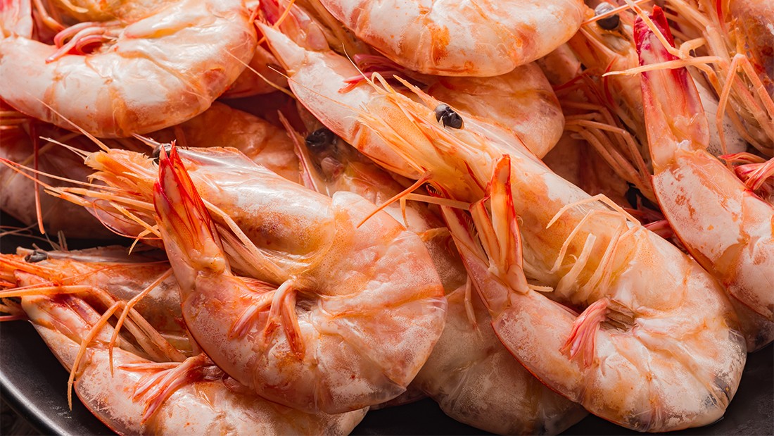 DULCOMARIN® II assists shrimp farmers in Brazil 